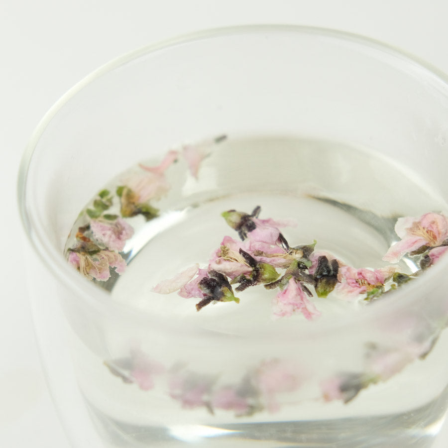 Brewing Camellia flower tea with hot water in a clear teapot, showcasing the petals unfolding.
